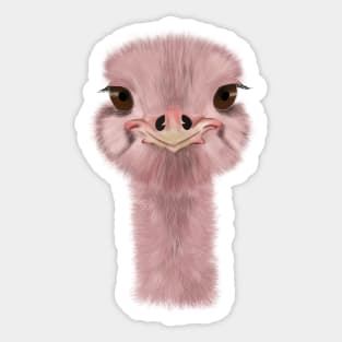 Ostrich head Sticker